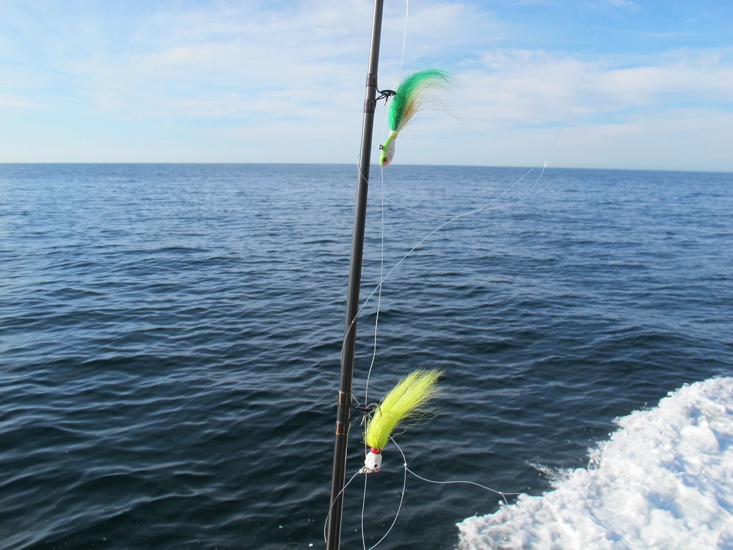 Why bucktail/jigs work for fluke ? BASS BARN